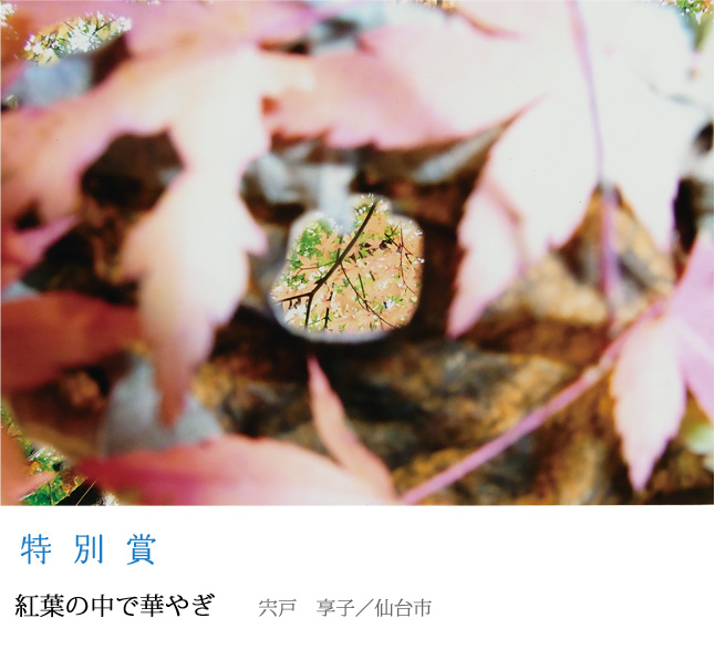 特  別  賞 「紅葉の中で華やぎ」 宍戸　享子／仙台市