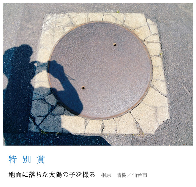 地面に落ちた太陽の子を撮る 相原　晴樹／仙台市