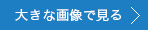 大きな画像で見る