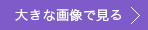 大きな画像で見る