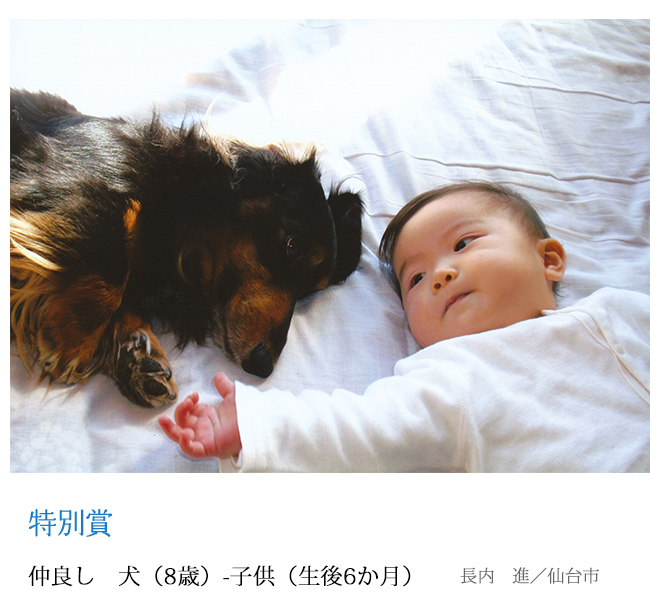 仲良し　犬（8歳）-子供（生後6か月） 長内　進／仙台市