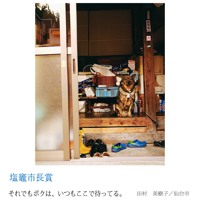 それでもボクは、いつもここで待ってる。 田村　美樹子／仙台市