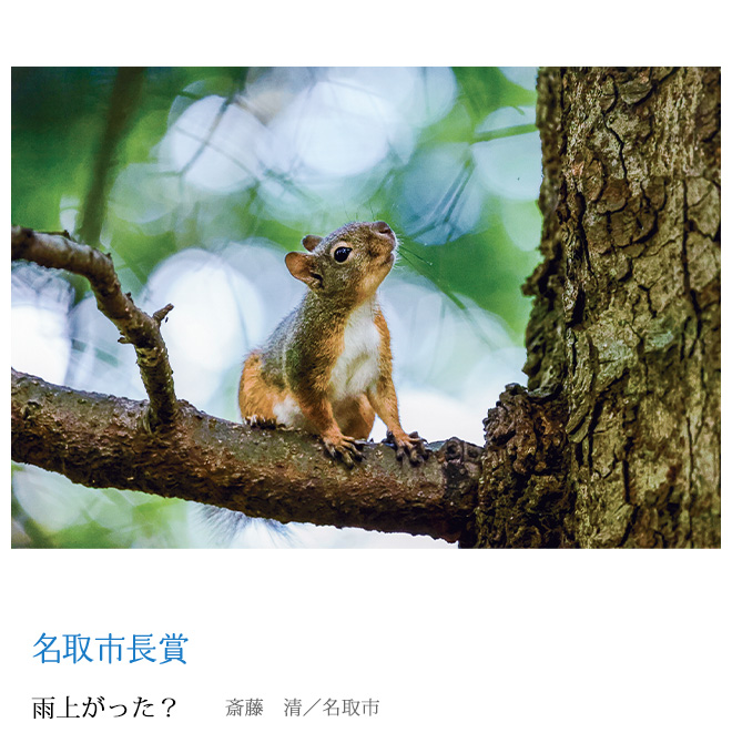 雨上がった？ 斎藤　清／名取市