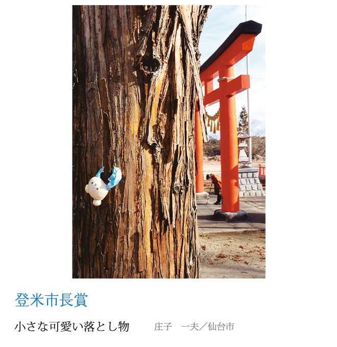 小さな可愛い落とし物 庄子　一夫／仙台市