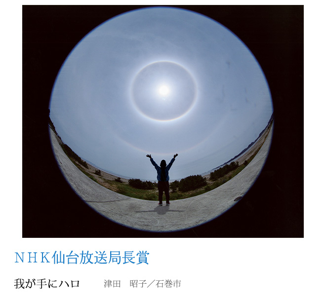 我が手にハロ 津田　昭子／石巻市
