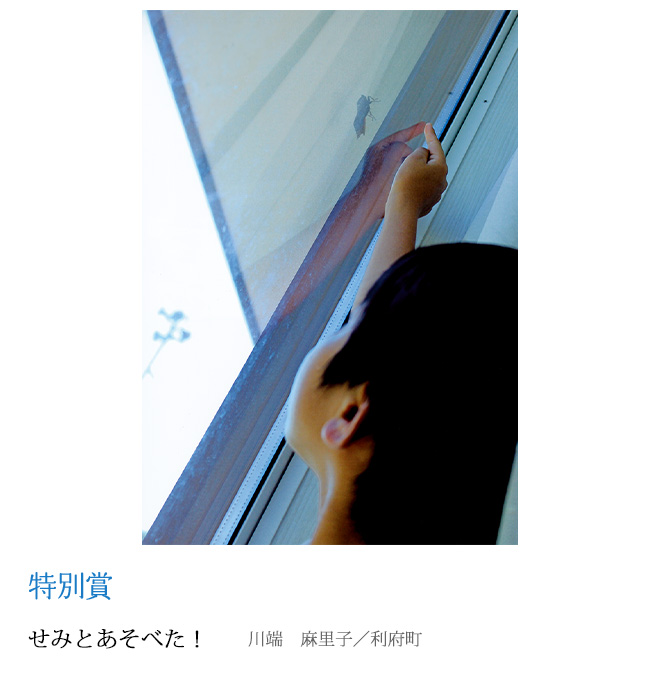 せみとあそべた！ 川端　麻里子／利府町