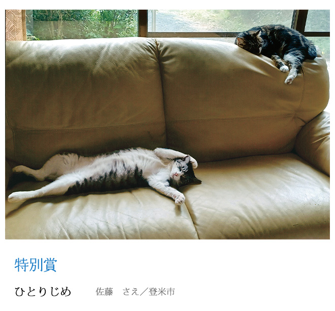 ひとりじめ 佐藤　さえ／登米市