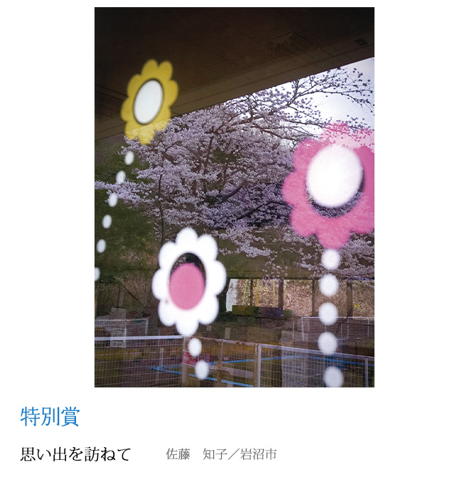 思い出を訪ねて 佐藤　知子／岩沼市