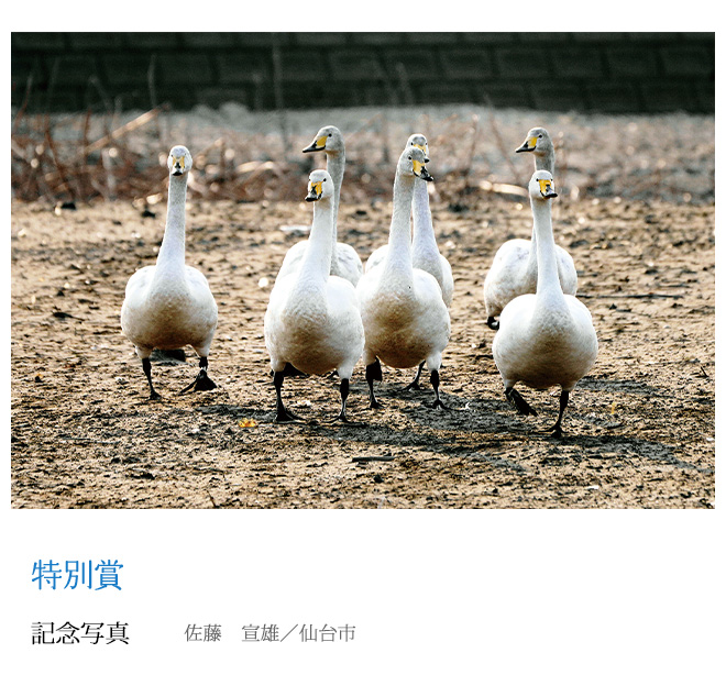 記念写真 佐藤　宣雄／仙台市