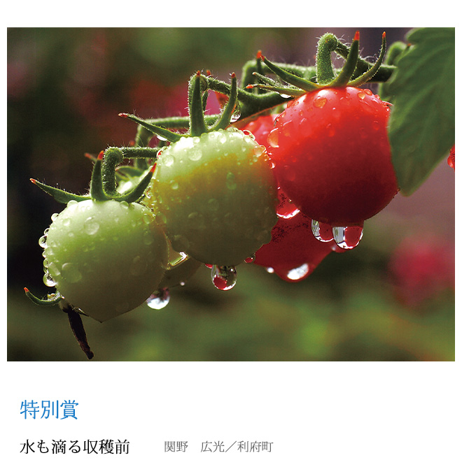 水も滴る収穫前 関野　広光／利府町