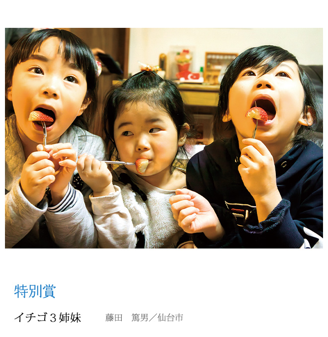 イチゴ３姉妹 藤田　篤男／仙台市